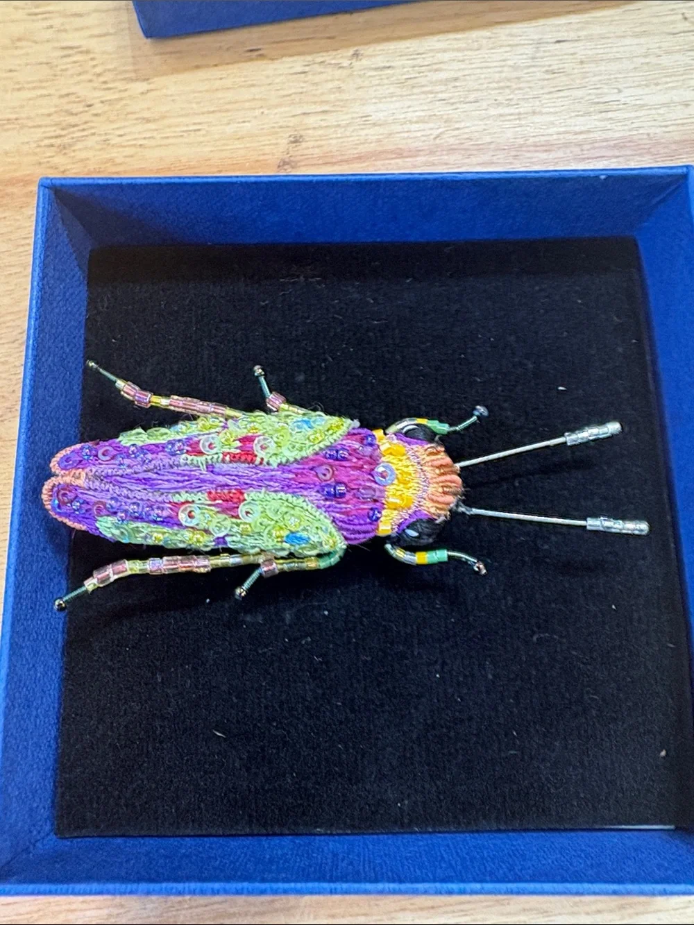 Trovelore Multicolor Sharpshooter Beetle Embellished Brooch Pin